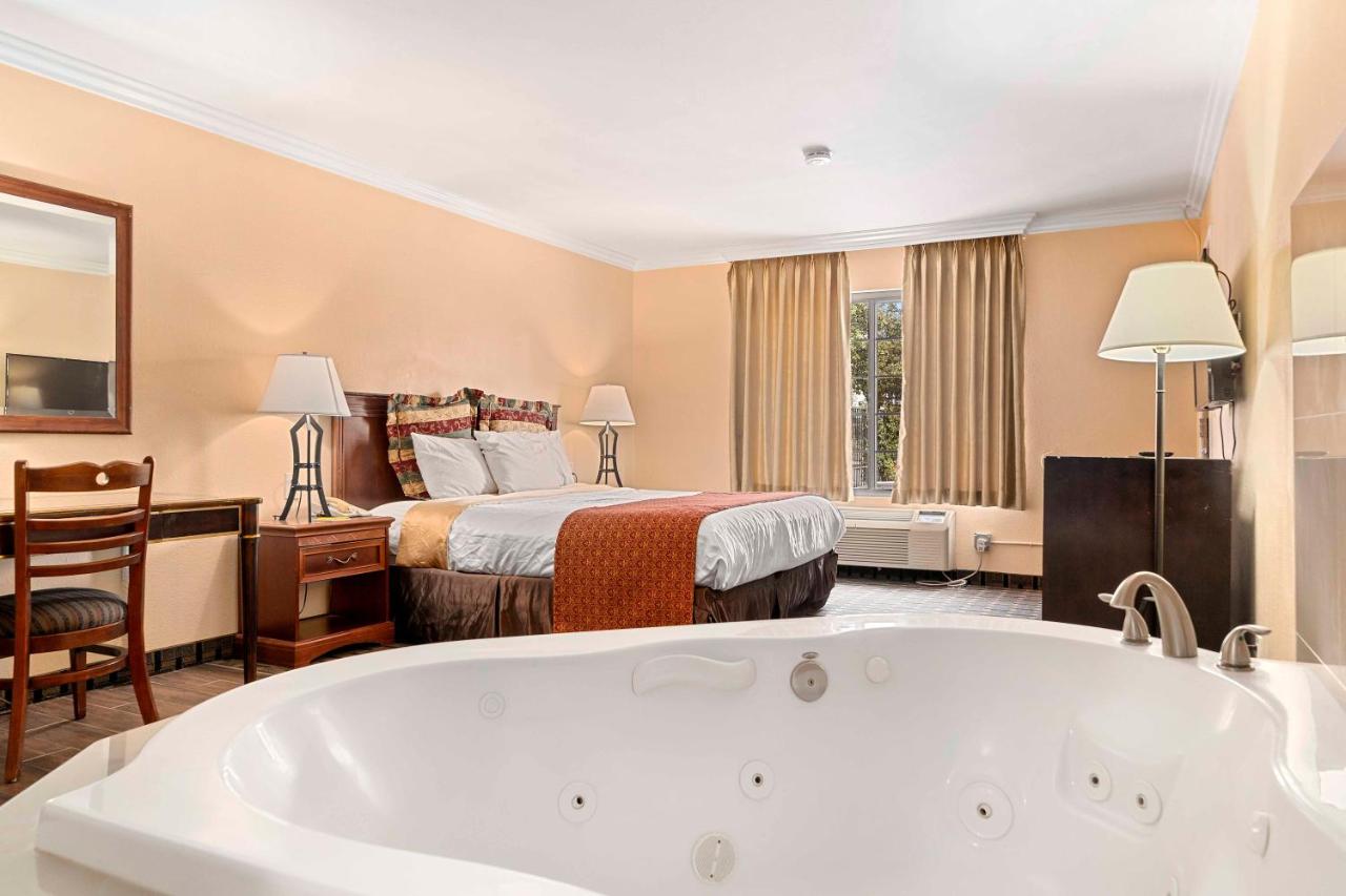 Lemon Tree Hotel and Suites
