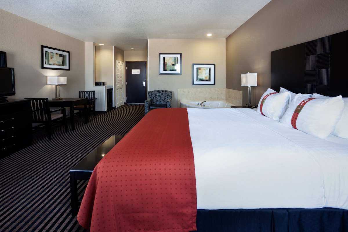 Holiday Inn San Antonio North Stone Oak Area