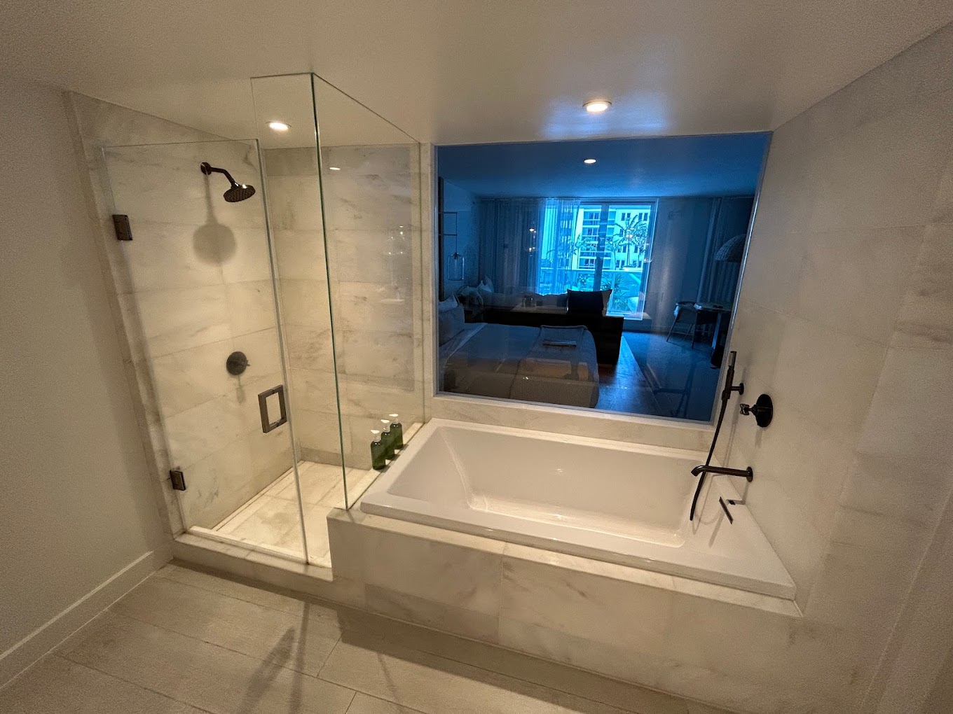 1 Hotel South Beach