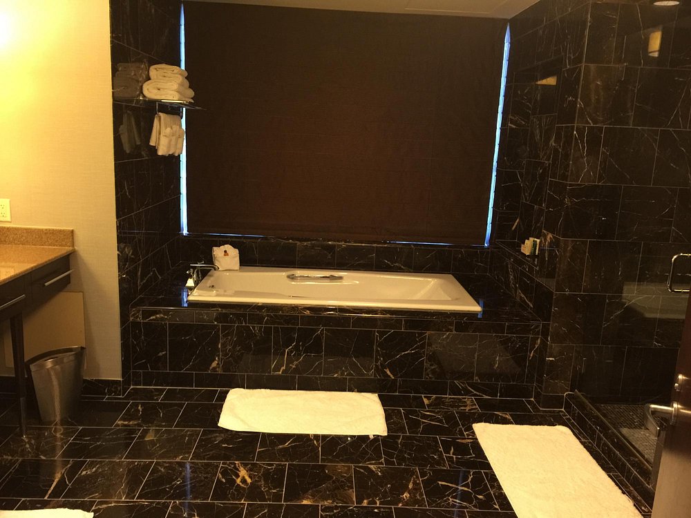 Hilton Americas-Houston
