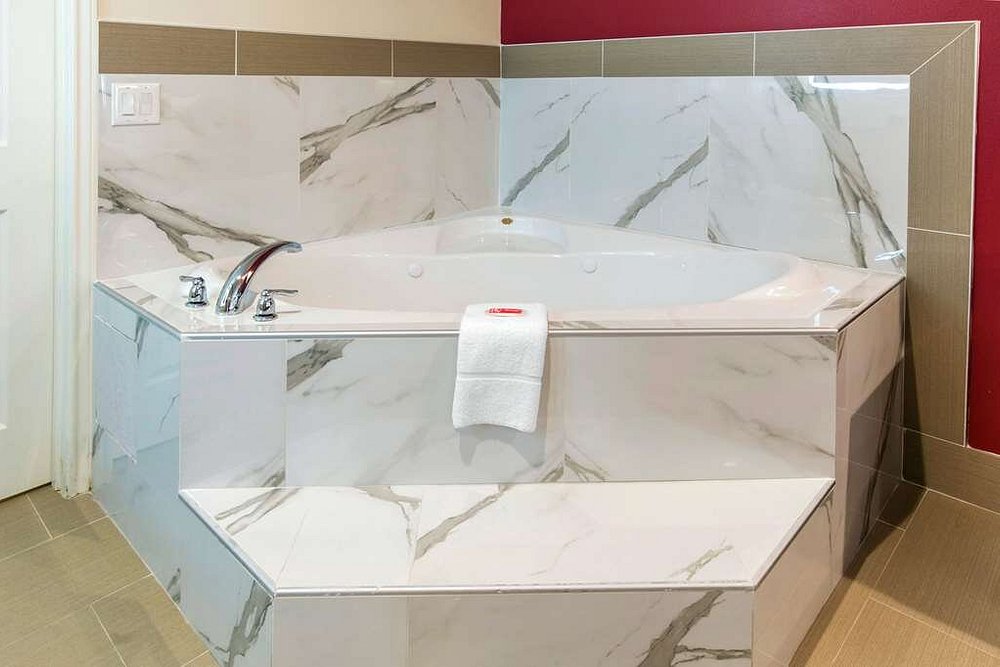 Econo Lodge Inn & Suites Houston Willowbrook