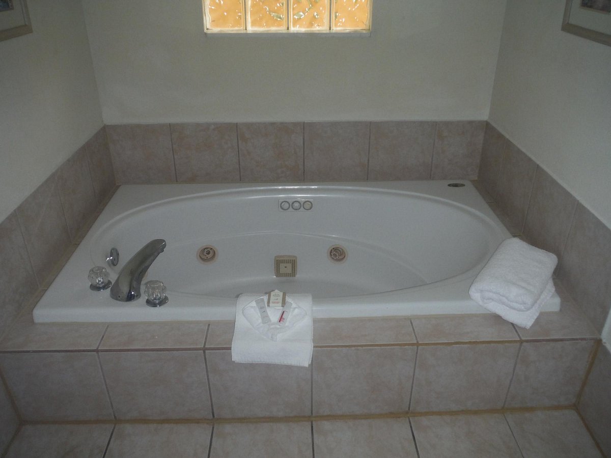 Hotel South Tampa & Suites