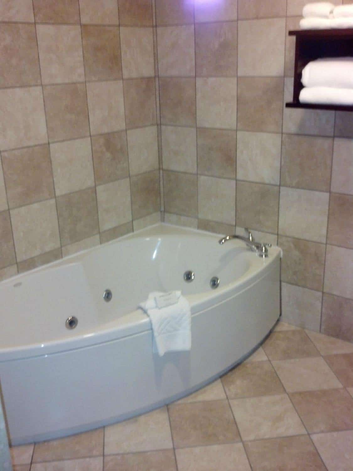 Hilton Tampa Airport Westshore