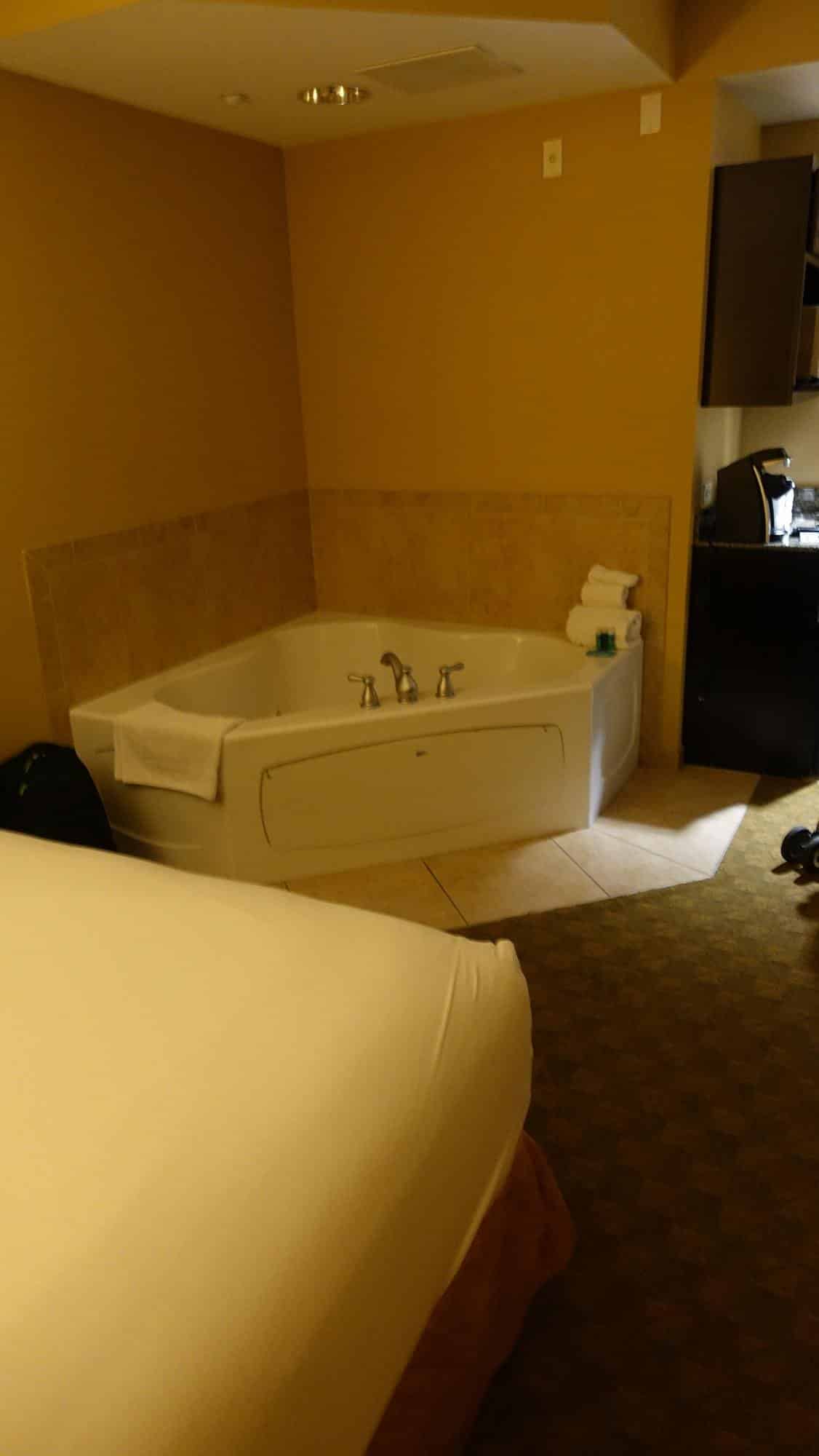 Holiday Inn Express & Suites Tampa -usf-busch Gardens, an IHG hotel