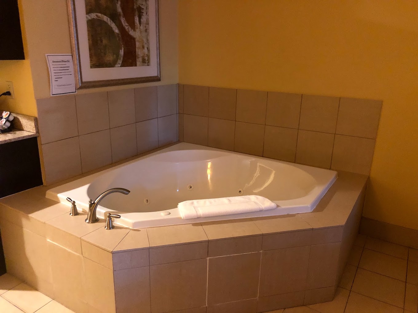 Holiday Inn Express Nashville-Opryland