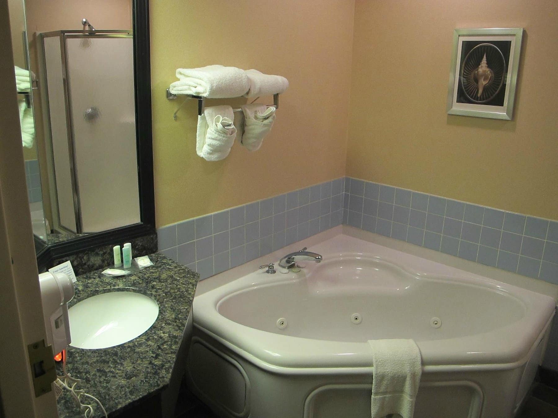 Comfort Suites University Area Notre Dame-South Bend