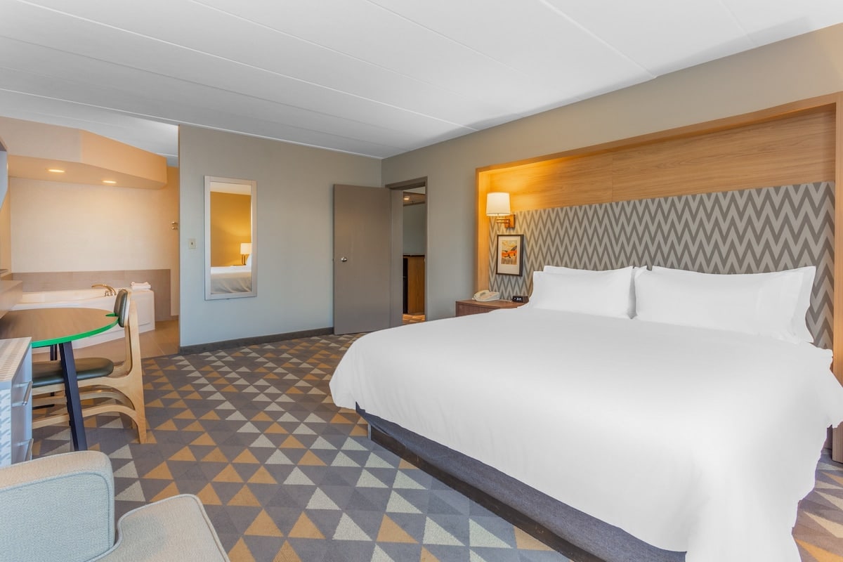 Holiday Inn Rockford(I-90&Rt 20/State St)