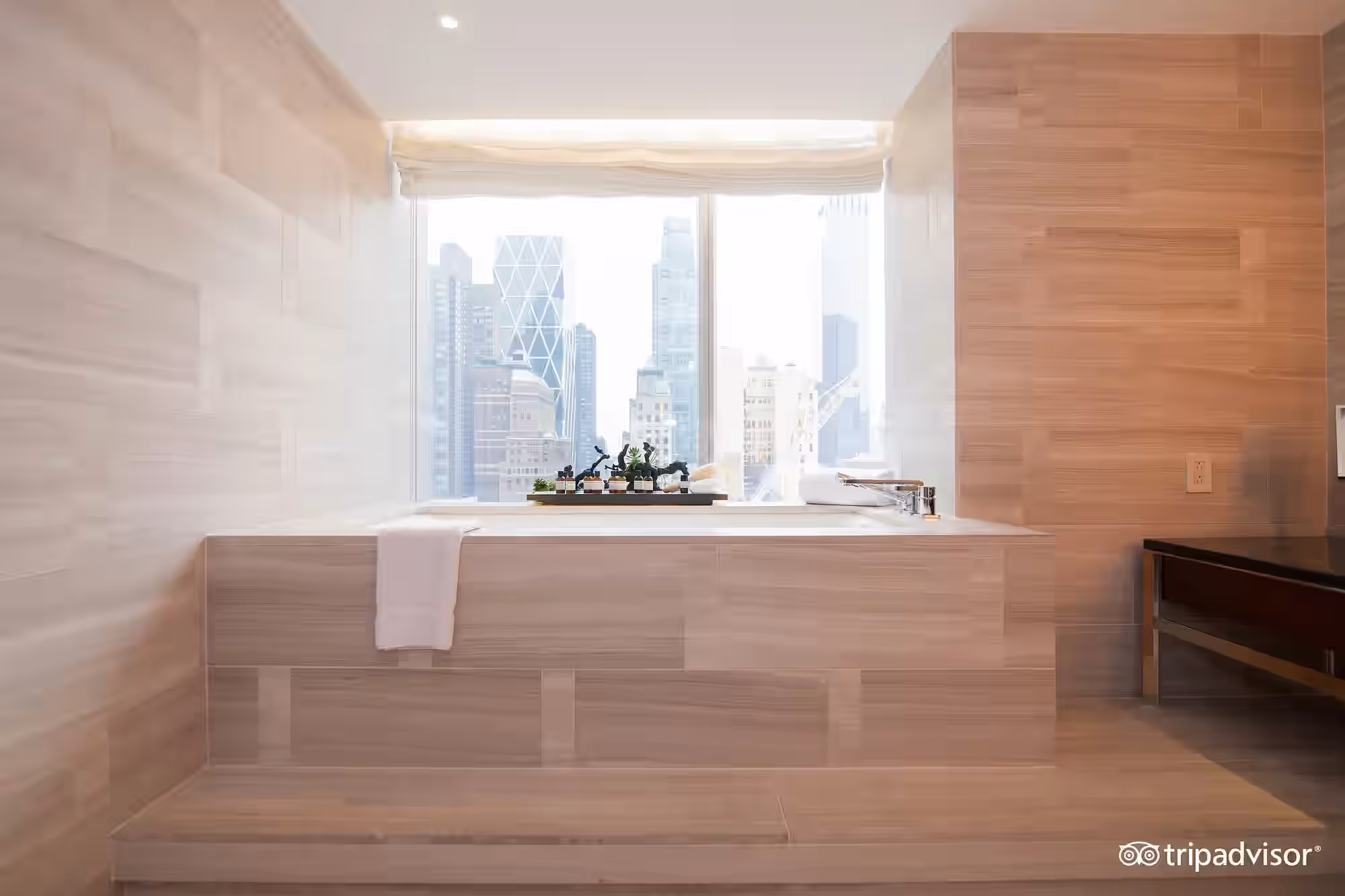 Park Hyatt New York has hot tub suites