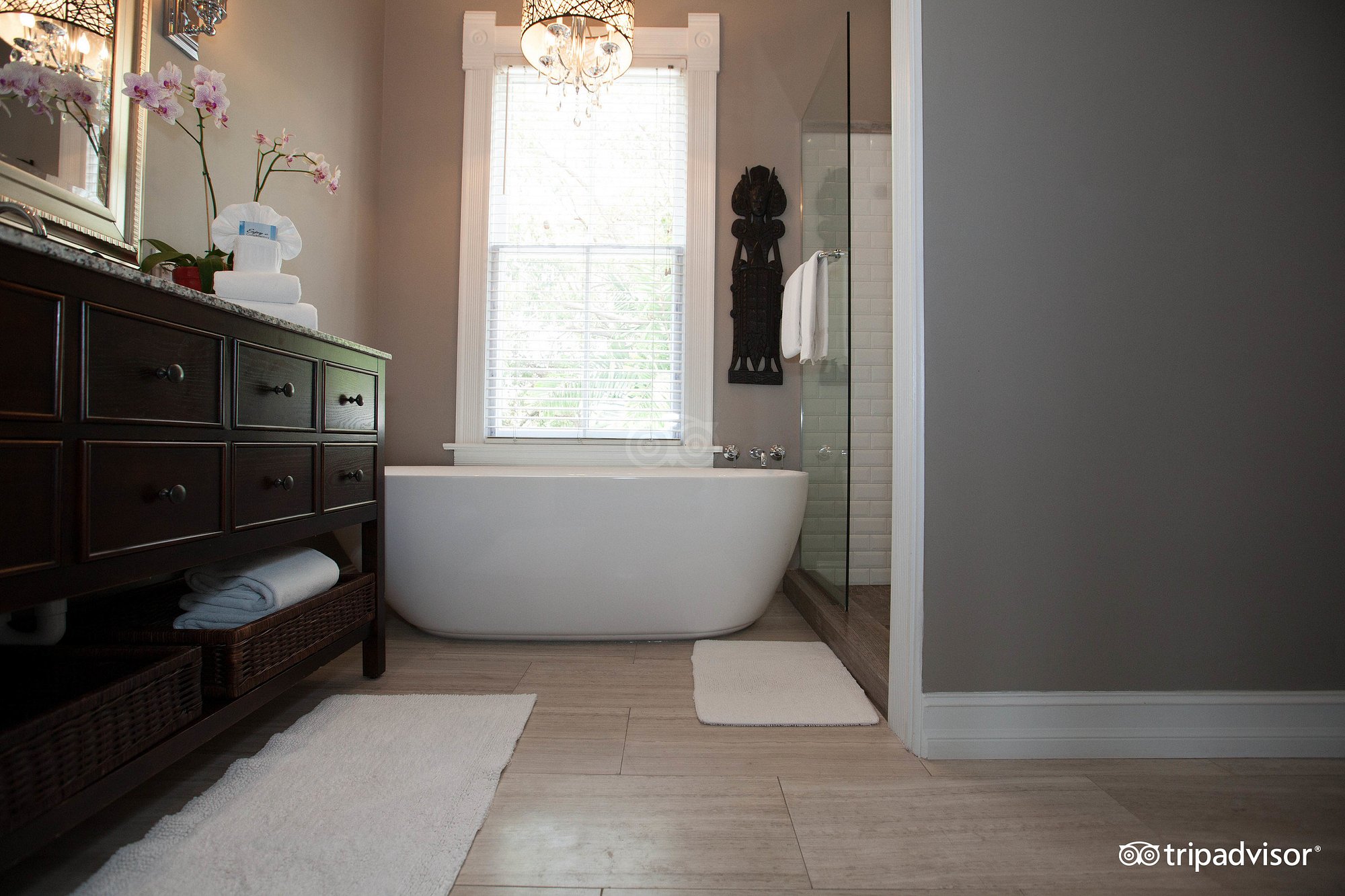 The Mermaid & The Alligator has Jacuzzi suites