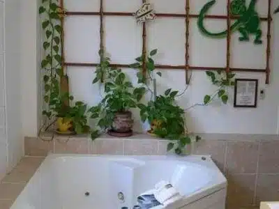 Wicker Guesthouse has Jacuzzi suites