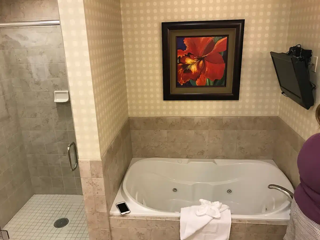 Hilton Garden Inn Idaho Falls has Jacuzzi suites