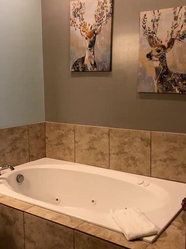 The Copperhead Lodge and Resort has Jacuzzi suites