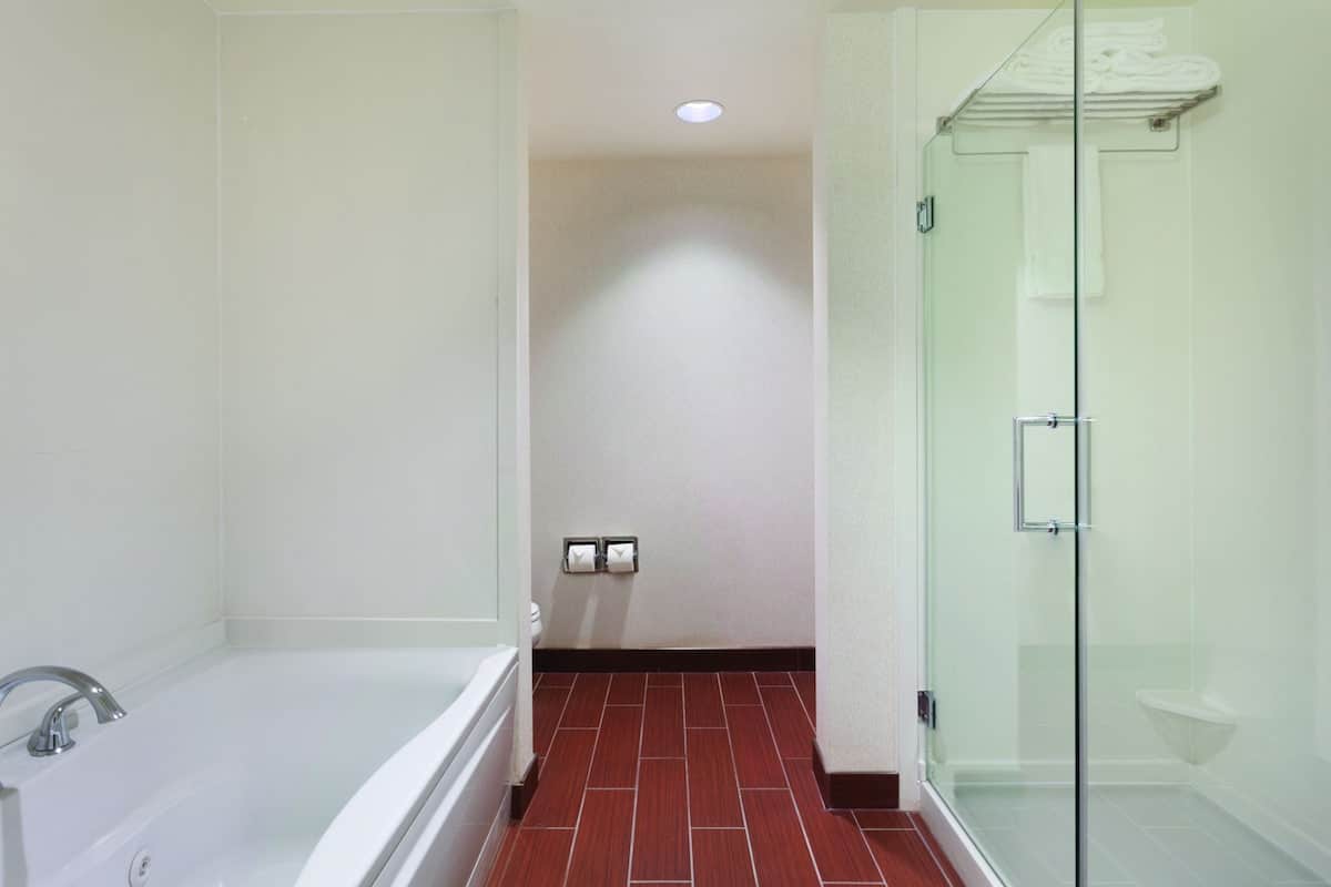 Hilton Garden Inn Rochester Downtown has jacuzzi suites