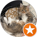 Hotels with Jacuzzi in Room in Vermont