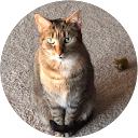 Maryland Hotels with Jacuzzi in Room