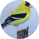 Kelly Anderson profile picture