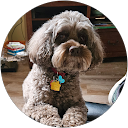 Hotels with Jacuzzi in Room in Illinois