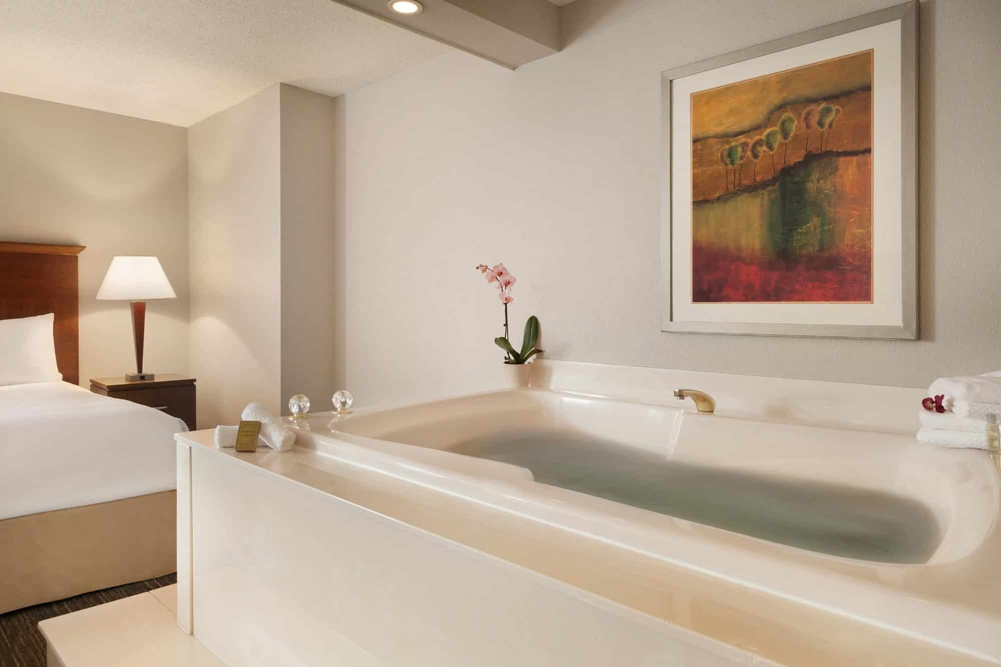 DoubleTree by Hilton Hotel Minneapolis – Park Place has jacuzzi suites